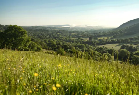 TV- tips - Wales vilda natur
