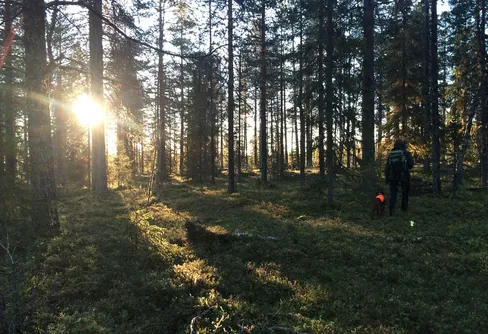 Ny programserie i P1