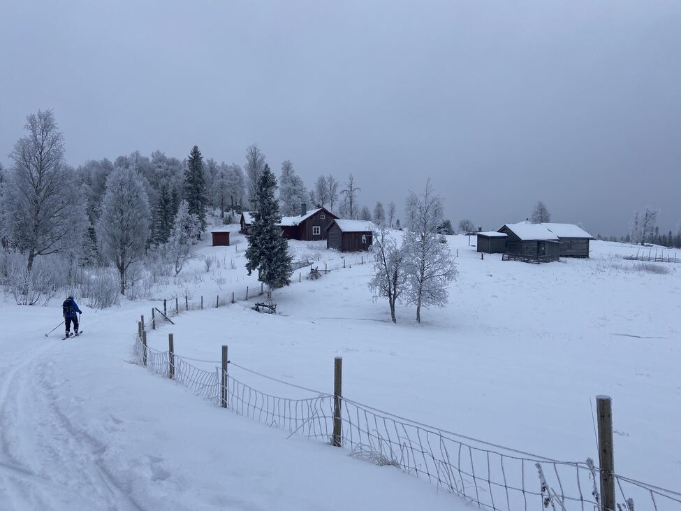 Klicka för att förstora
