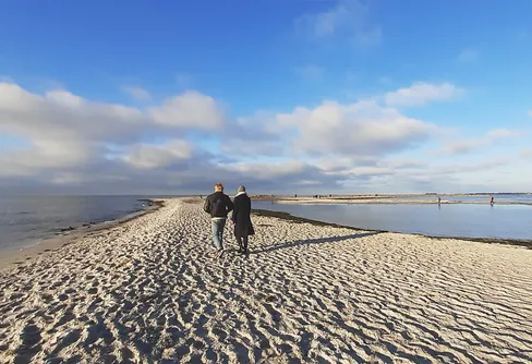 Ett januaribesök hos sälarna