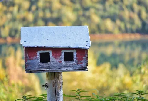 SM i fågelholk - var med och rösta fram din favorit