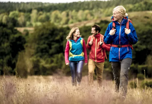 Vandringstrenden allt starkare