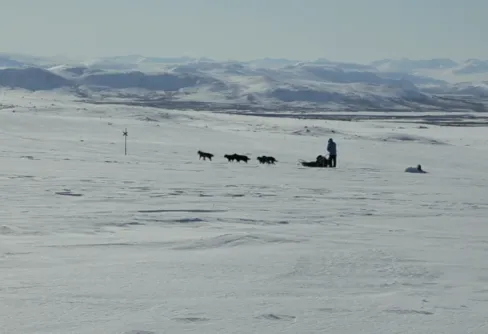 Hundspann genom fjällen