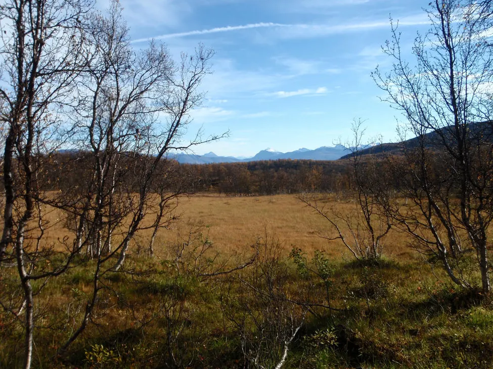 Klicka för att förstora