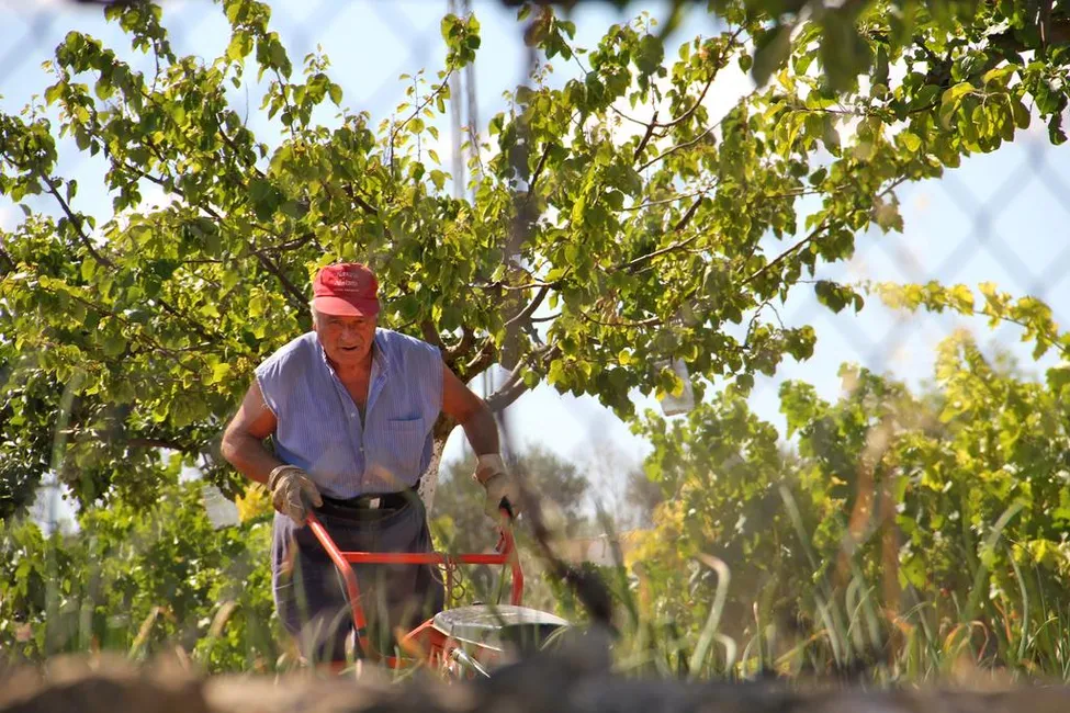 Klicka för att förstora
