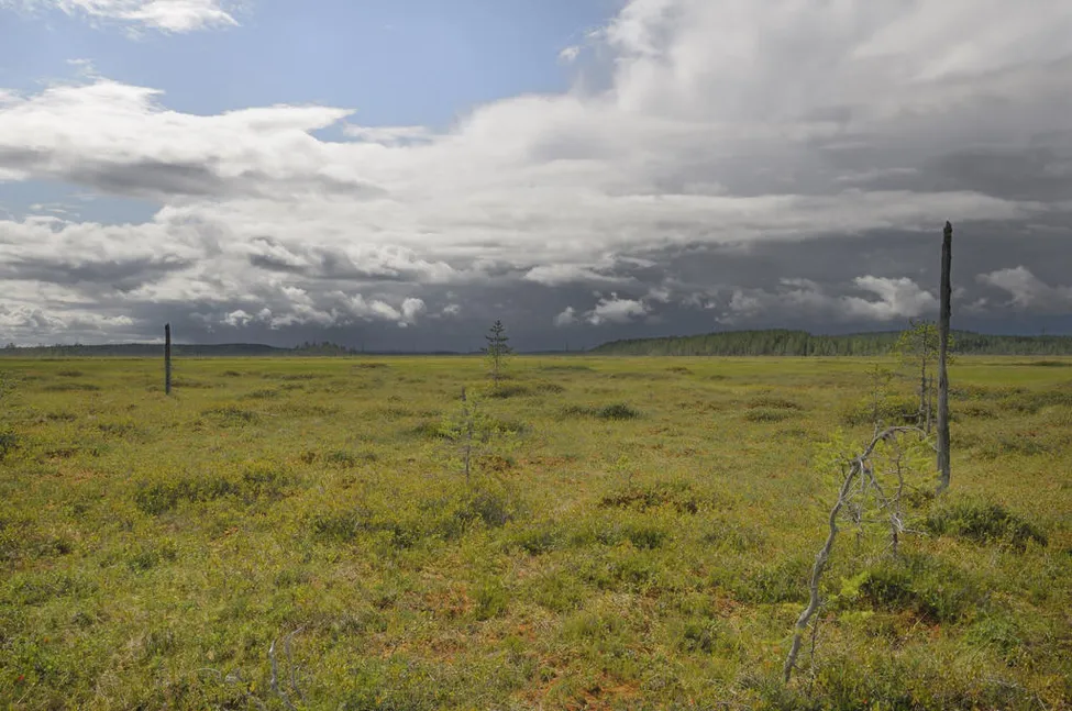 Klicka för att förstora