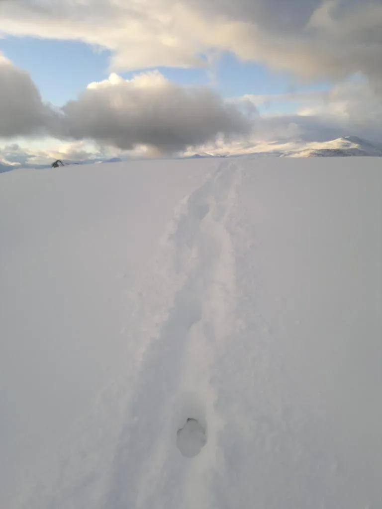 Klicka för att förstora