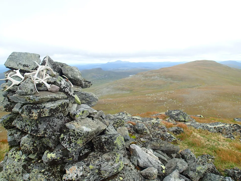 Klicka för att förstora