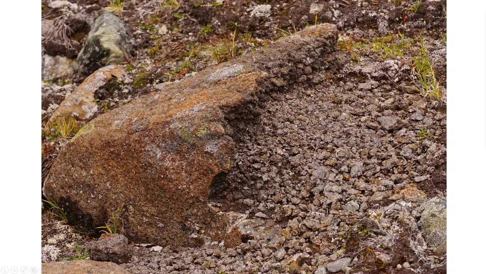 Klicka för att förstora
