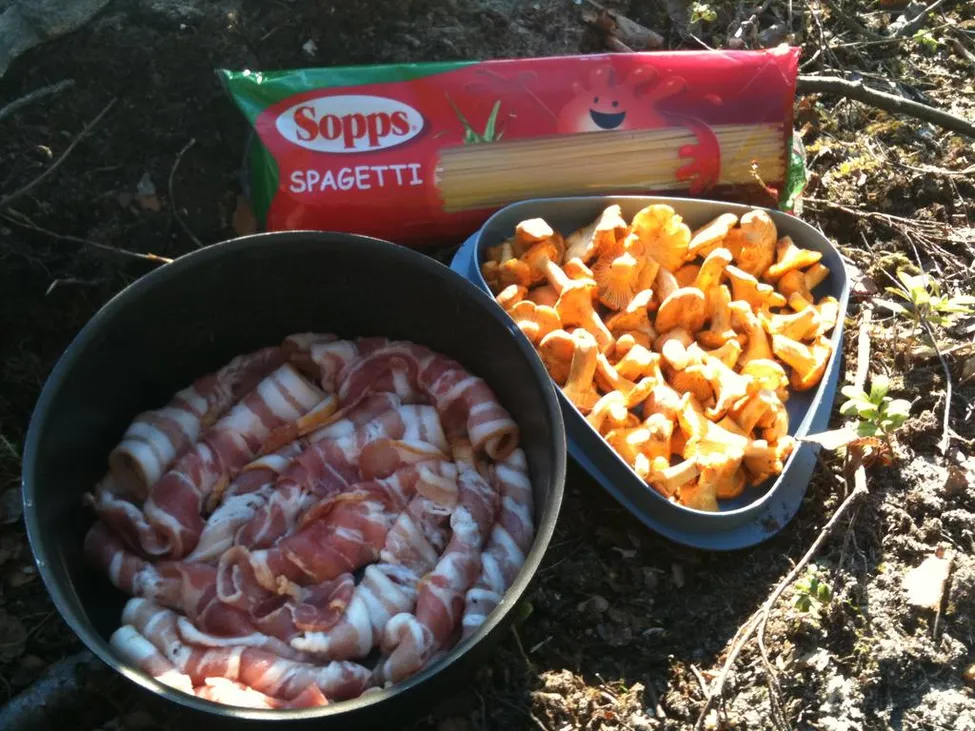 Klicka för att förstora