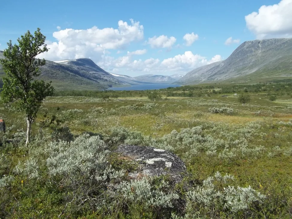 Klicka för att förstora