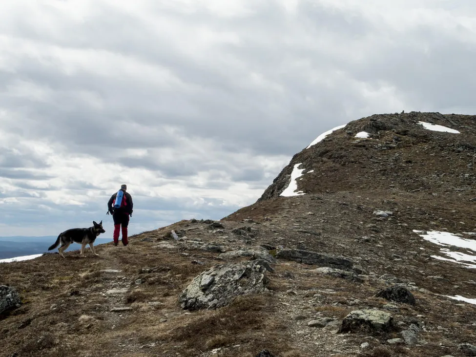Klicka för att förstora