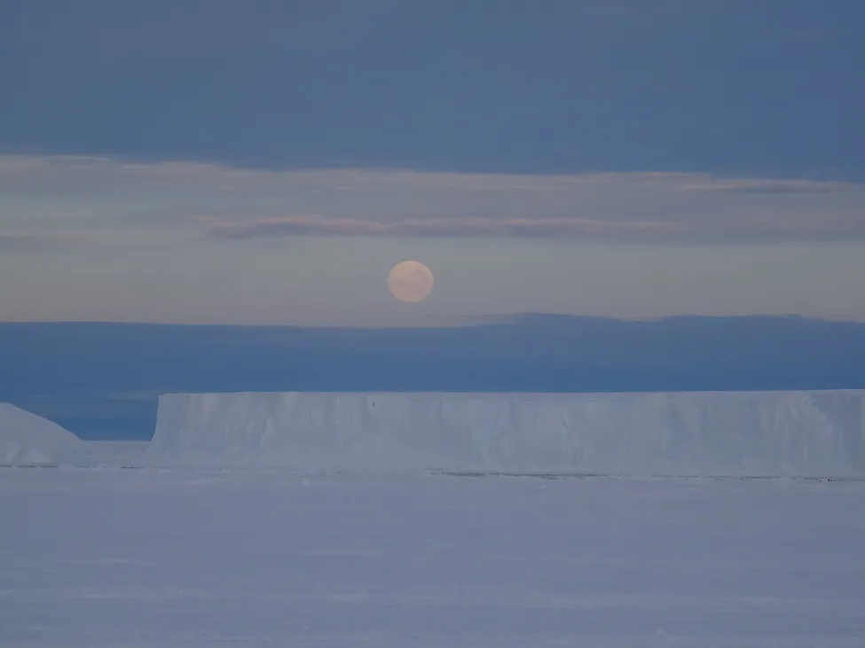 Klicka för att förstora