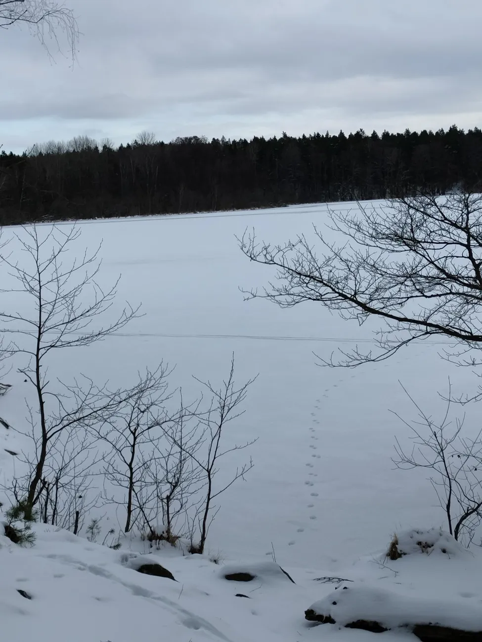 Klicka för att förstora