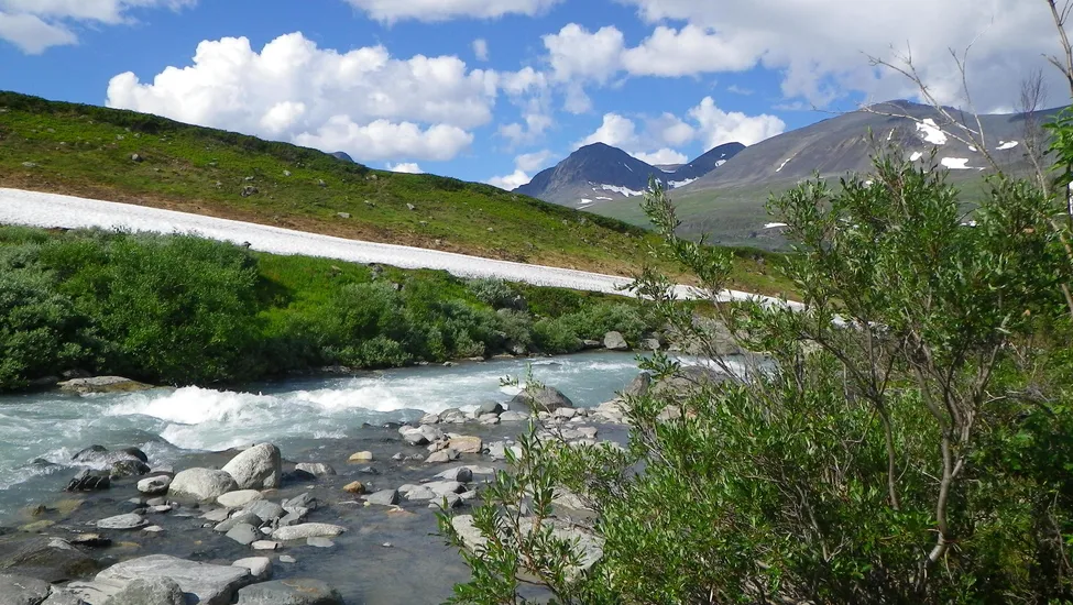 Klicka för att förstora