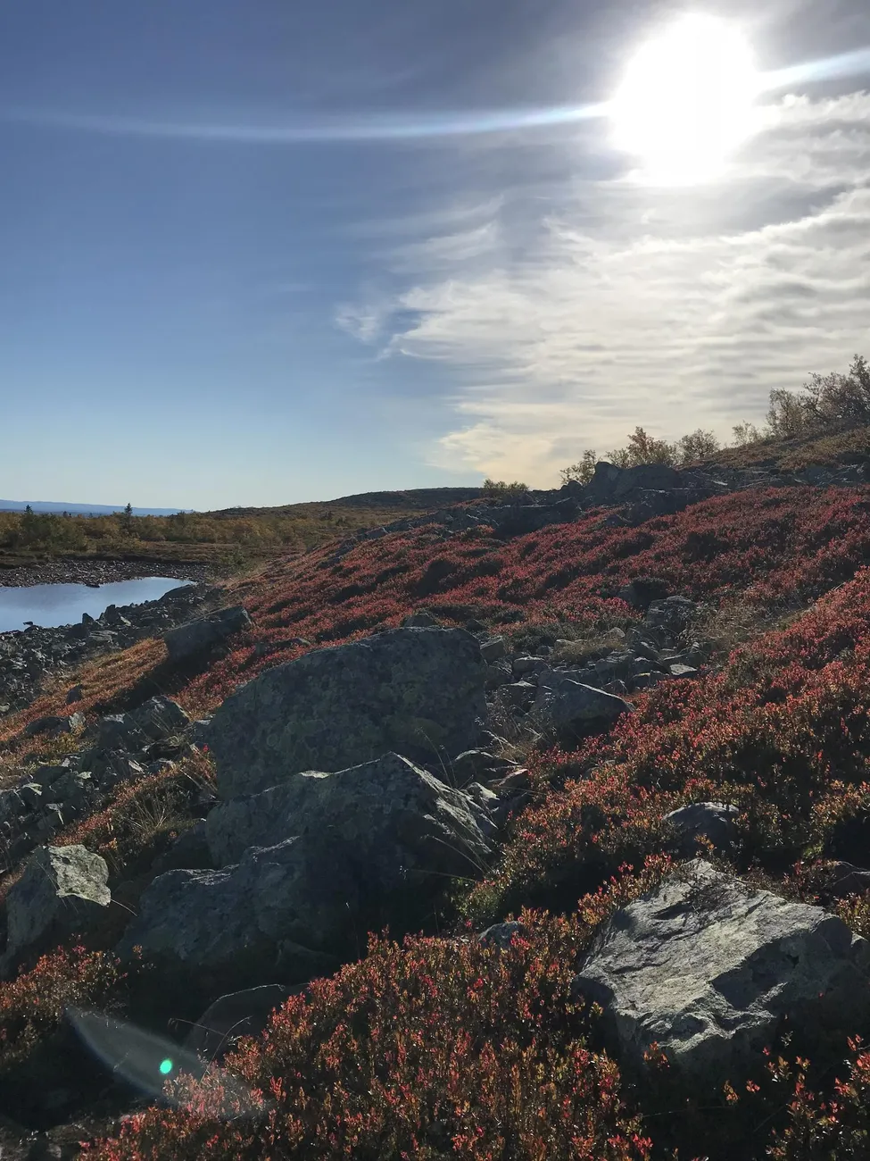 Klicka för att förstora