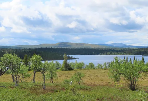 Cykla till Hosjöbottnarna 260619