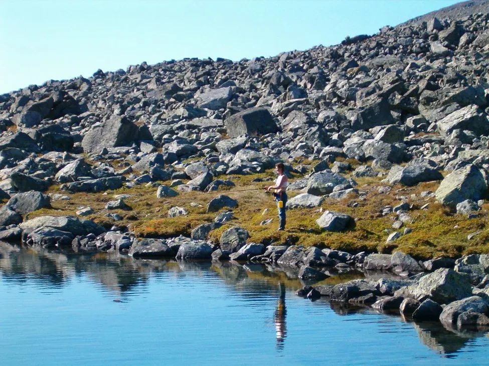 Klicka för att förstora