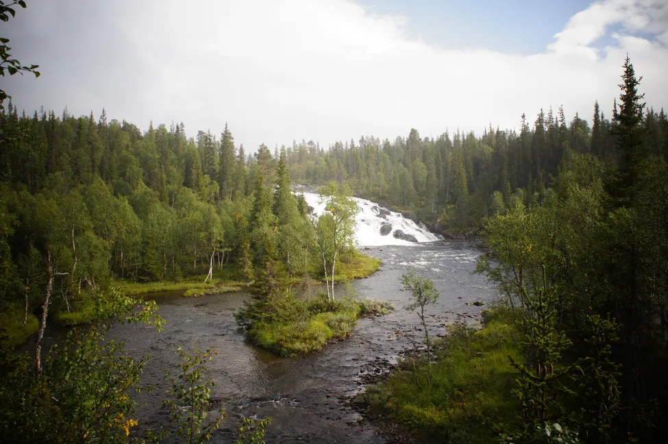 Klicka för att förstora