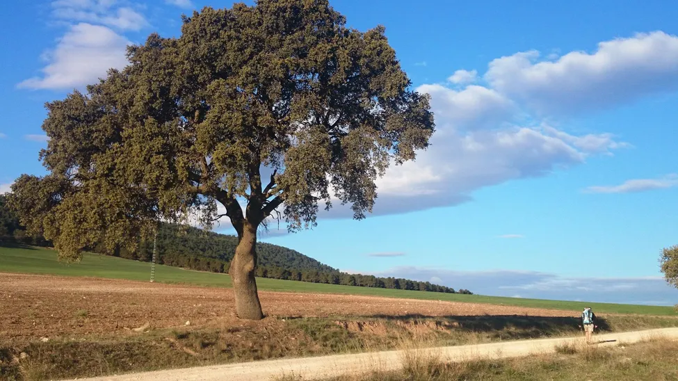 Klicka för att förstora