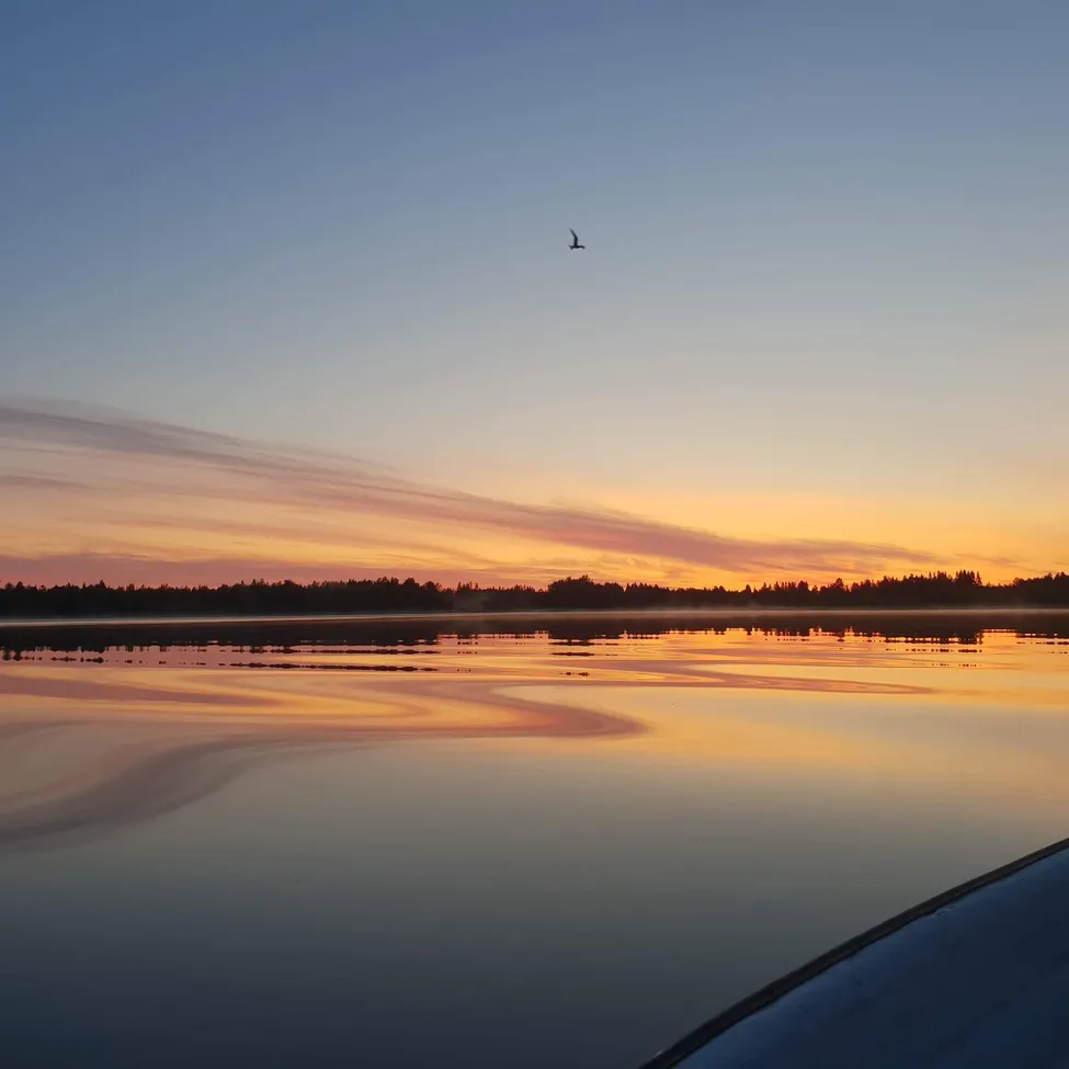 Klicka för att förstora