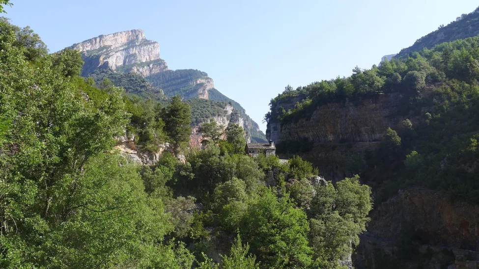 Klicka för att förstora