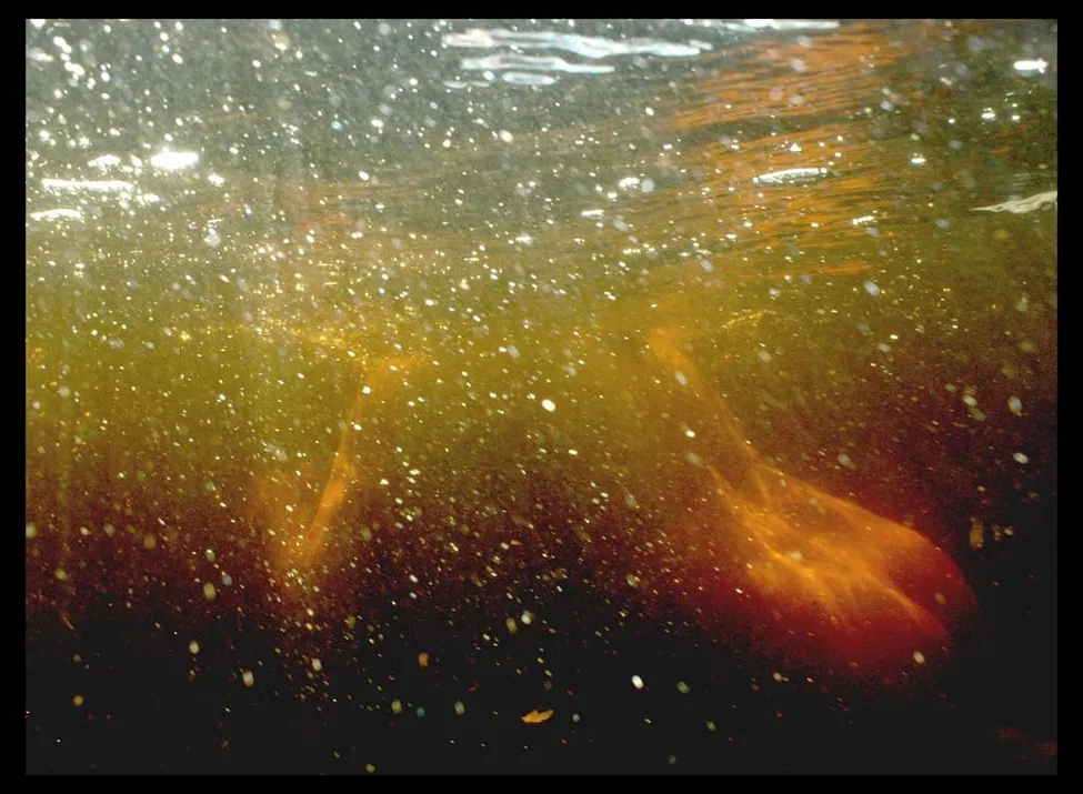 Klicka för att förstora