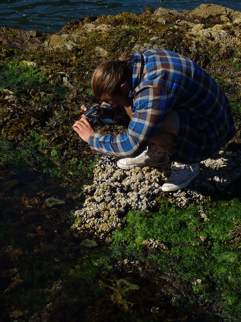 Klicka för att förstora