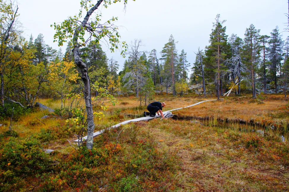 Klicka för att förstora