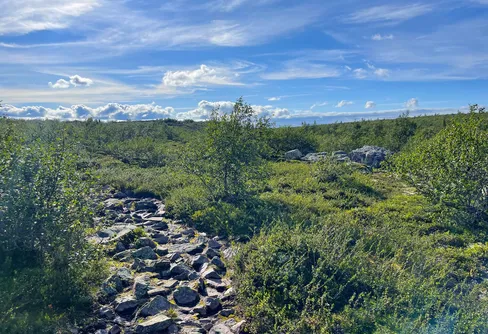 Familjevandring på Fulufjället – vacker fjällnatur, steniga leder och viktiga lärdomar