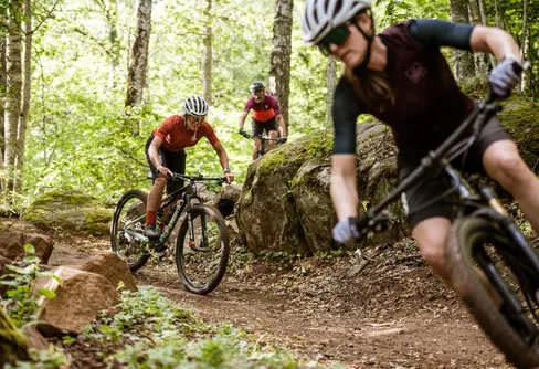 Högsäsong för friluftsfestivaler