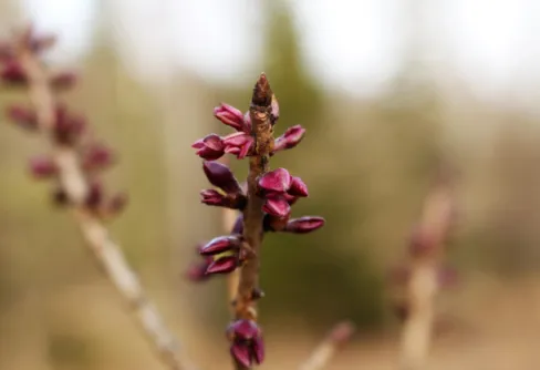 En påskvandring med öppna ögon