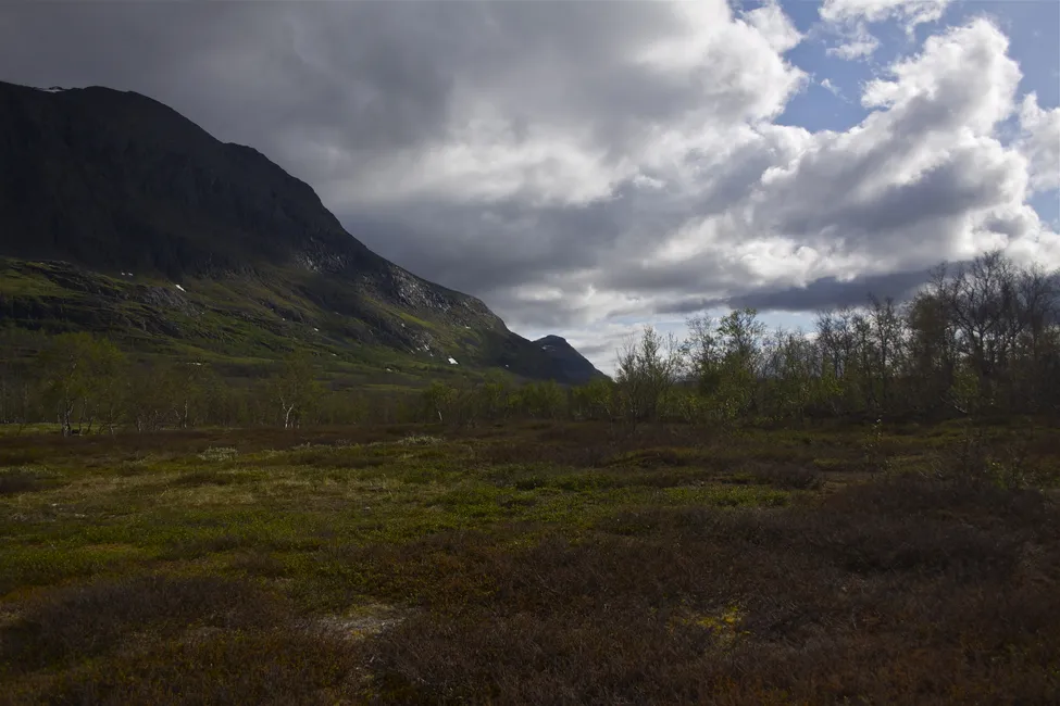 Klicka för att förstora