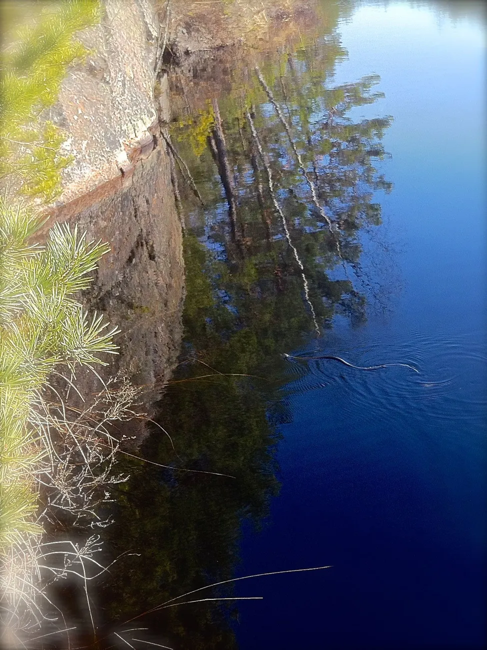 Klicka för att förstora