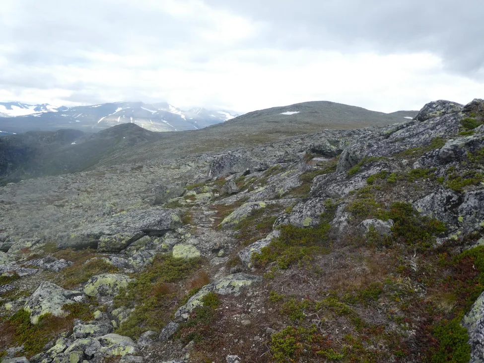 Klicka för att förstora