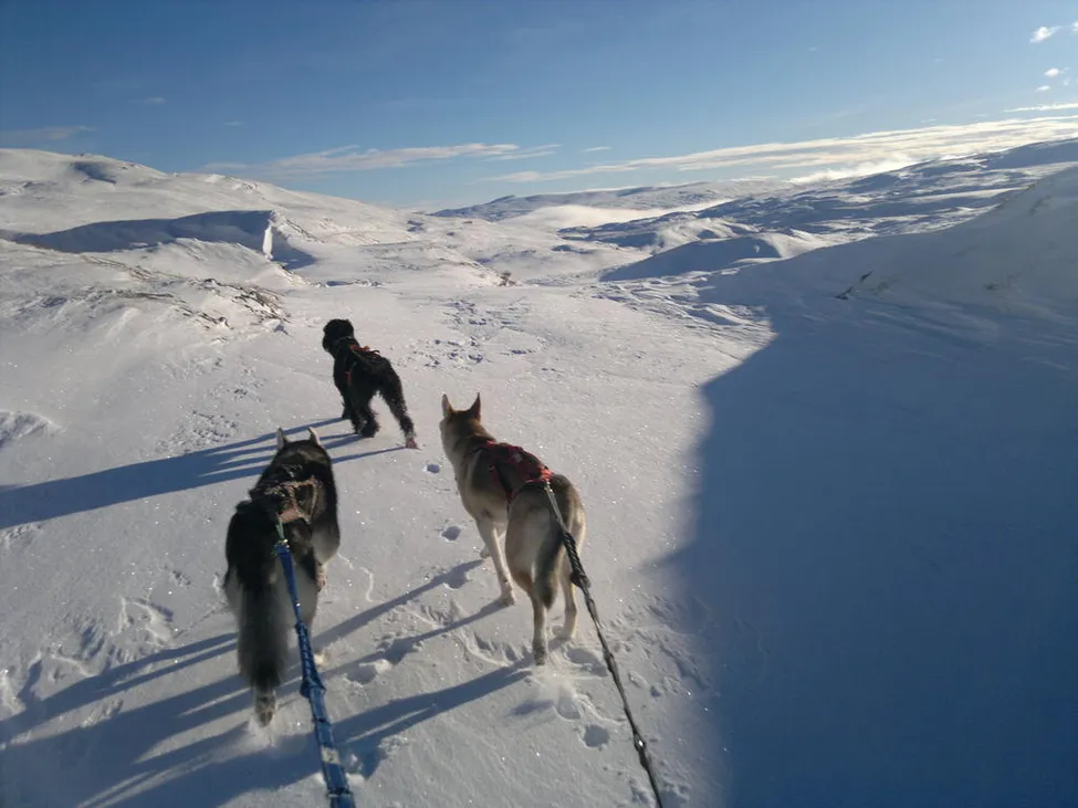Klicka för att förstora