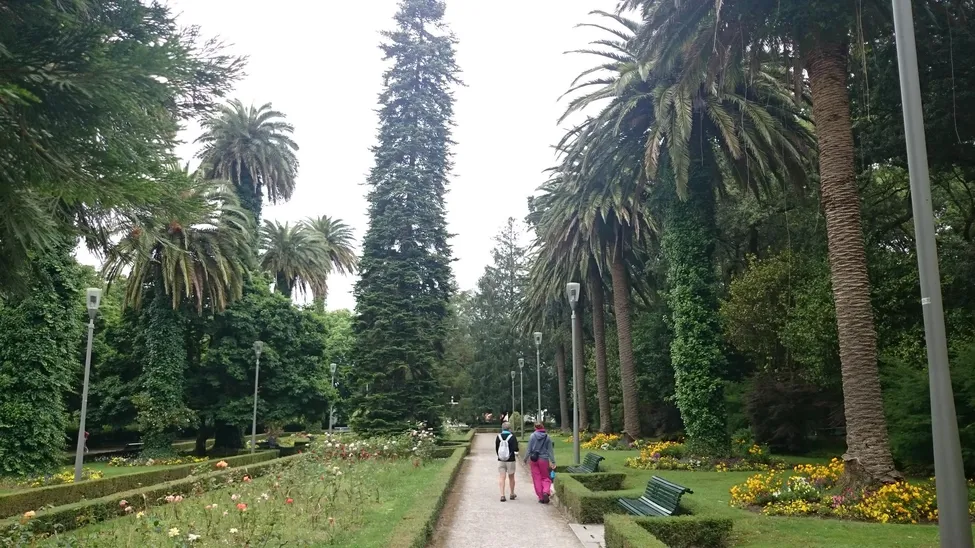 Klicka för att förstora