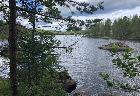 Mackar hjälper till att sprida inspiration