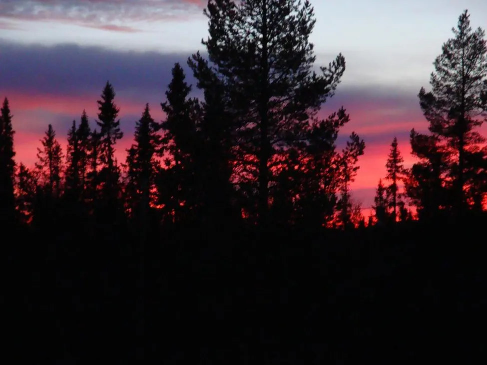 Klicka för att förstora