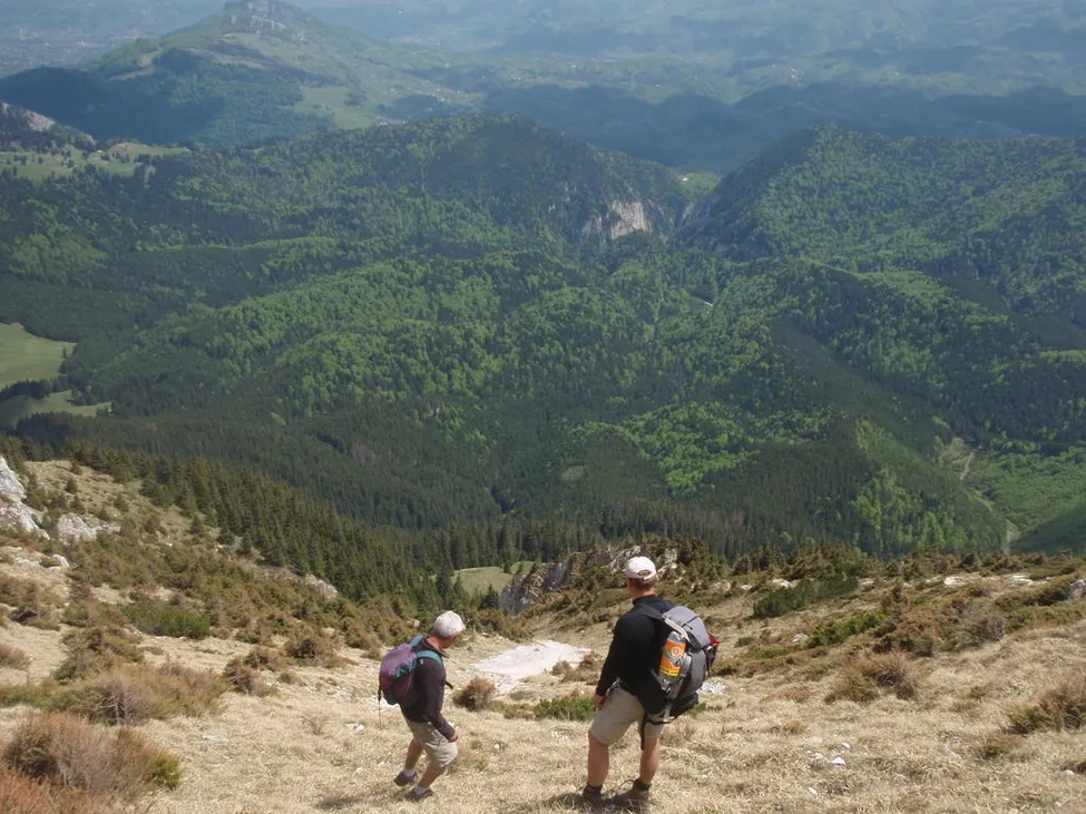 Klicka för att förstora