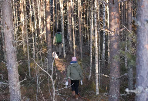 En stund i naturen - rena vitaminkuren