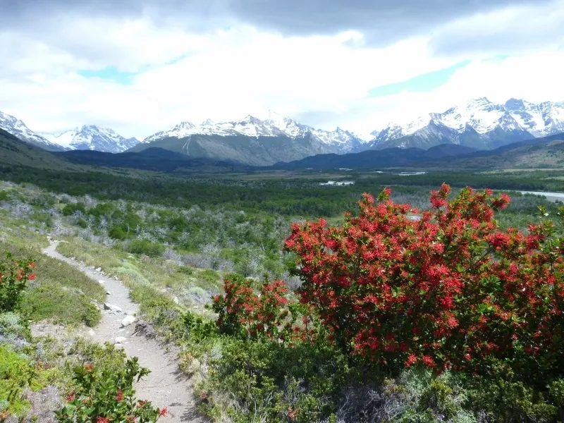Klicka för att förstora