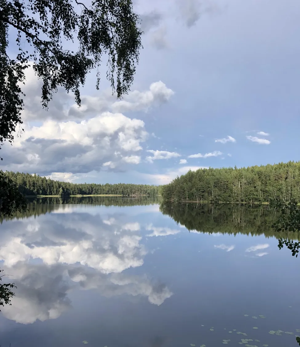 Klicka för att förstora