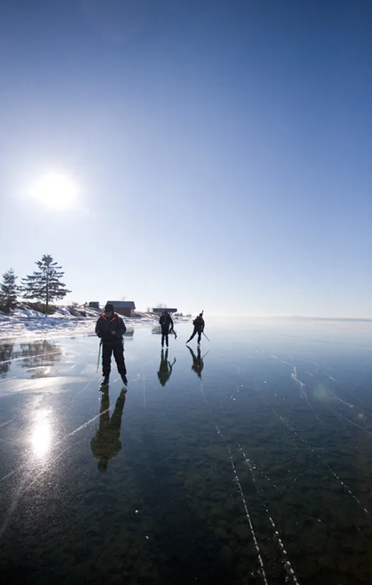 Klicka för att förstora