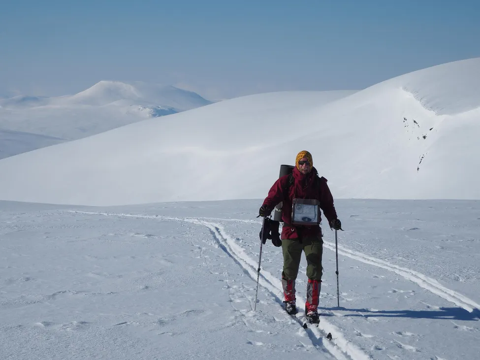 Klicka för att förstora