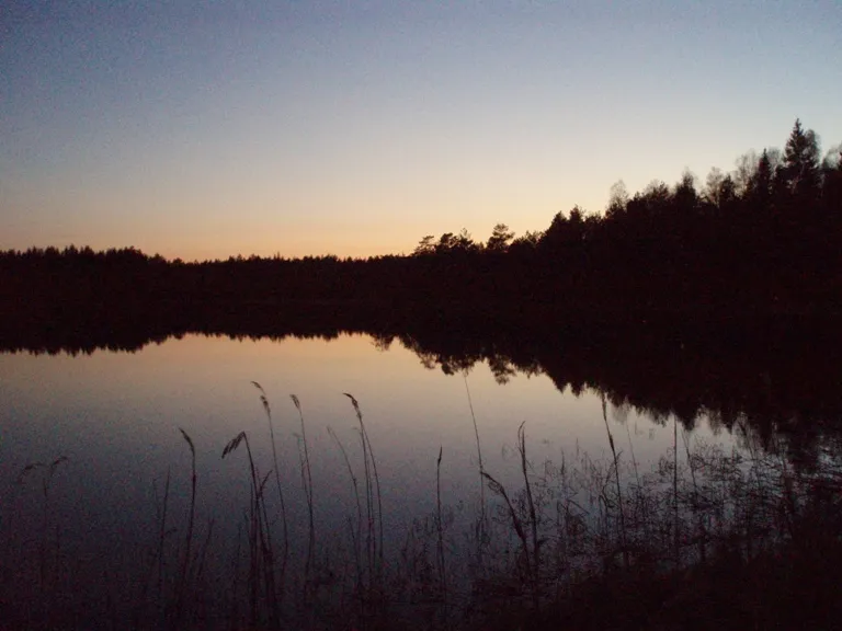 Klicka för att förstora