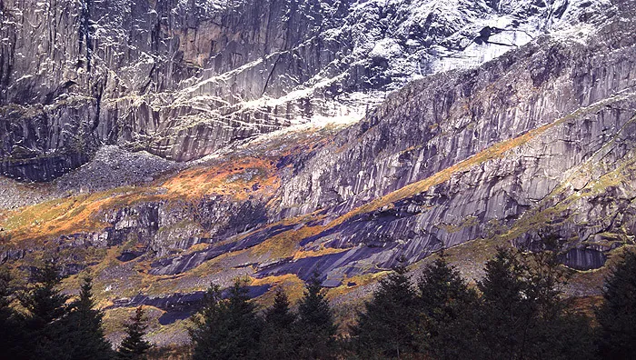 Klicka för att förstora