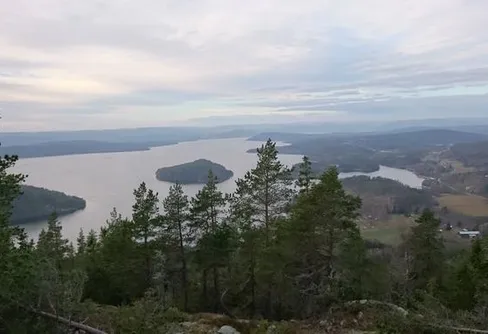 Hot chicken muurikka