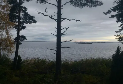 Iggelbo - ett bortglömt naturreservat