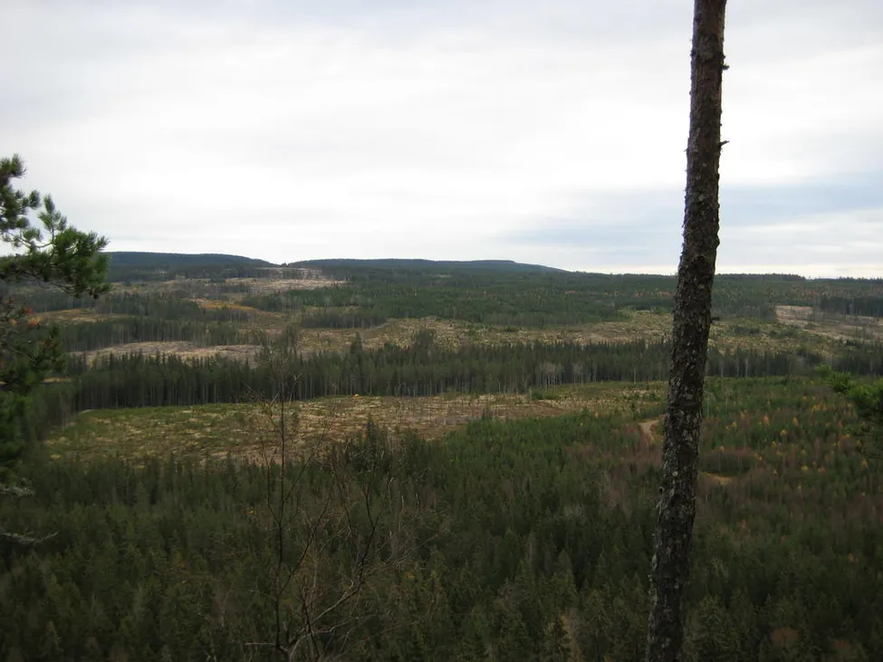 Klicka för att förstora